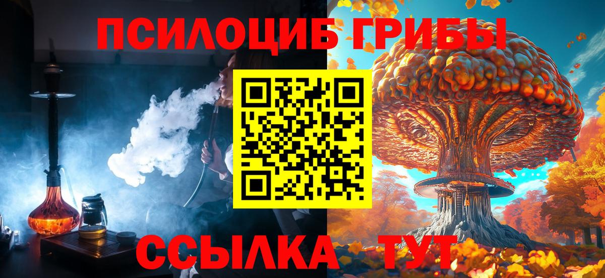 Кандалакша  Галлюциногенные грибы Magic Shrooms  Вход с VPN  Псилоцибиновые грибы мухоморы 