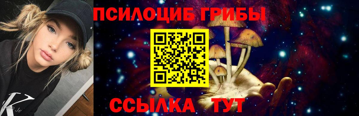 Псилоцибиновые грибы Cubensis Кандалакша